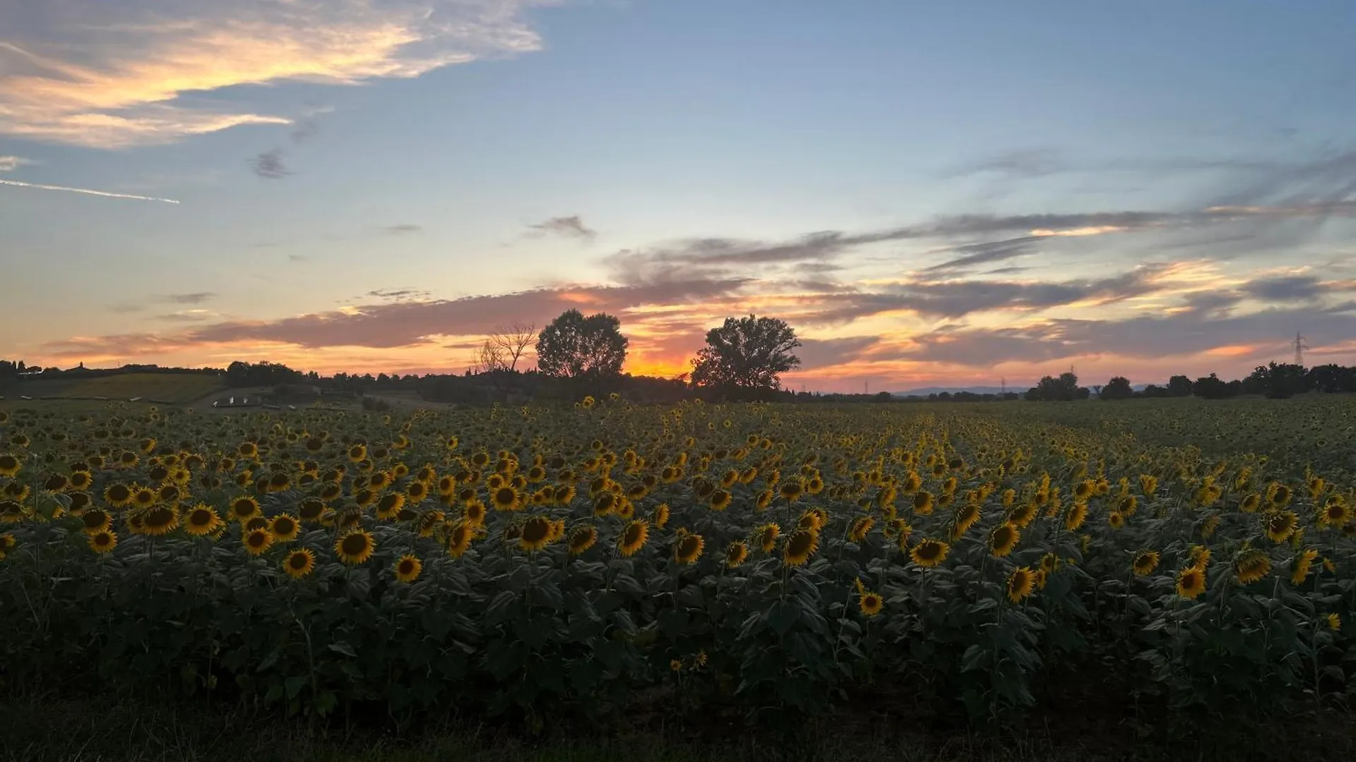 Villa Little Tuscany - Open October 2025 Cortona